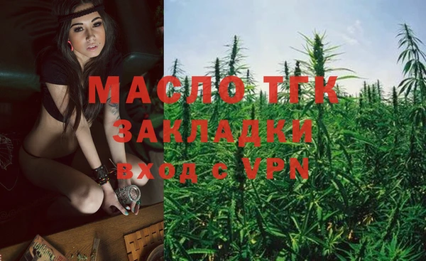 хмурый Абаза