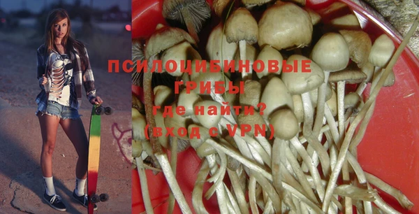 хмурый Абаза