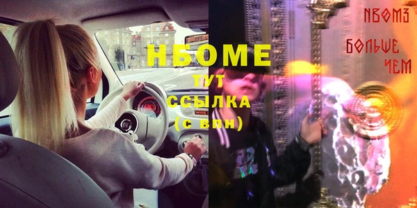хмурый Абаза