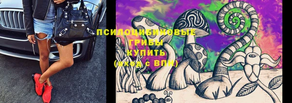 стаф Саяногорск