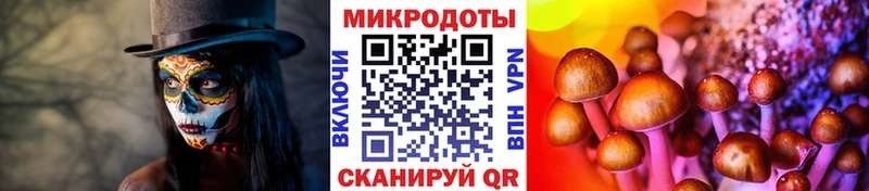 Галлюциногенные грибы GOLDEN TEACHER  hydra зеркало  Кизляр 
