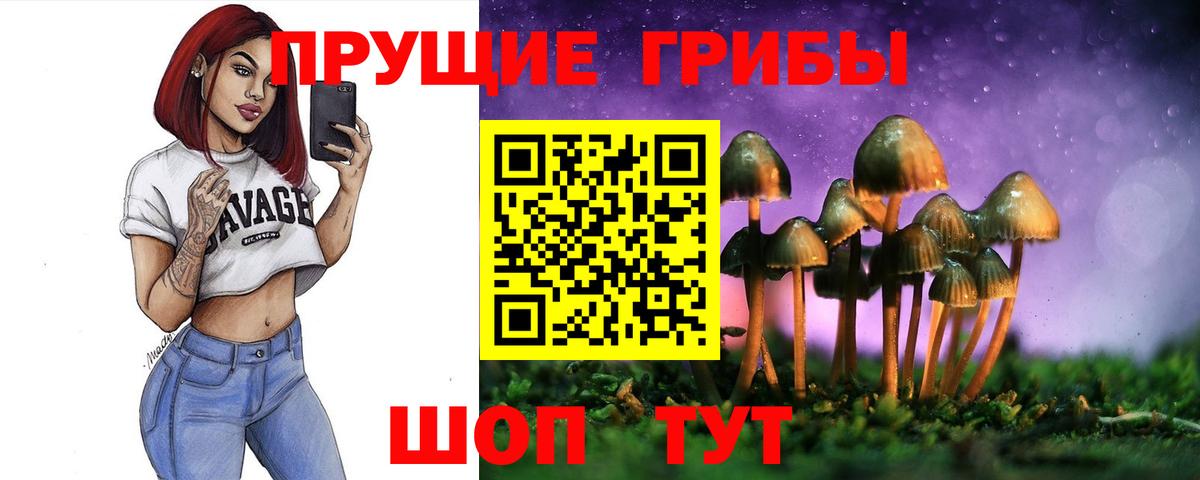 Кизляр  Псилоцибиновые грибы Psilocybine cubensis  Вход с VPN 